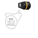VCT x EDG Buddy