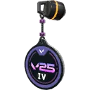 V25 ACT IV Coin Buddy