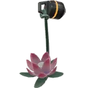 Star Lotus Buddy