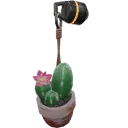 Desert Rose Buddy