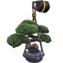 Bonsai Buddy