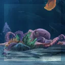 Depths Card