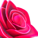 Blackthorn Rose Flex