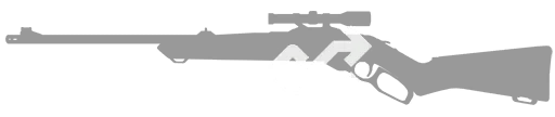 Random Favorite Skin